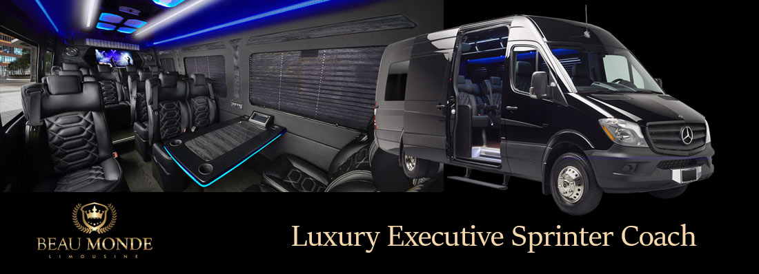 Luxury Executive Sprinter Coach chauffeur driver services